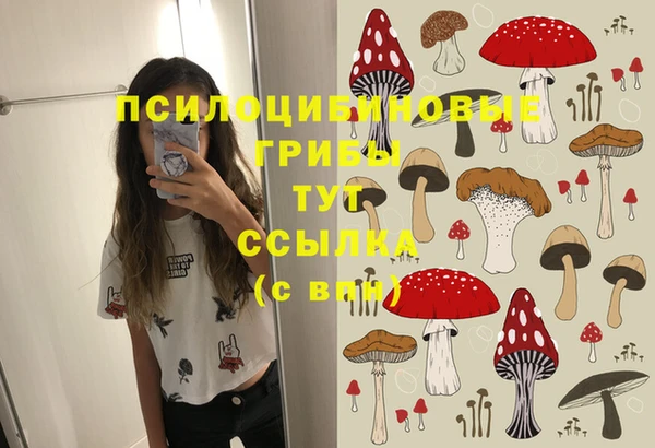 соль ск Лихославль