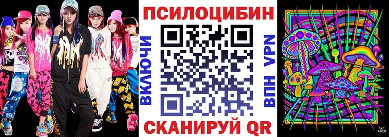 Псилоцибиновые грибы Cubensis  Купить где  Кудрово 